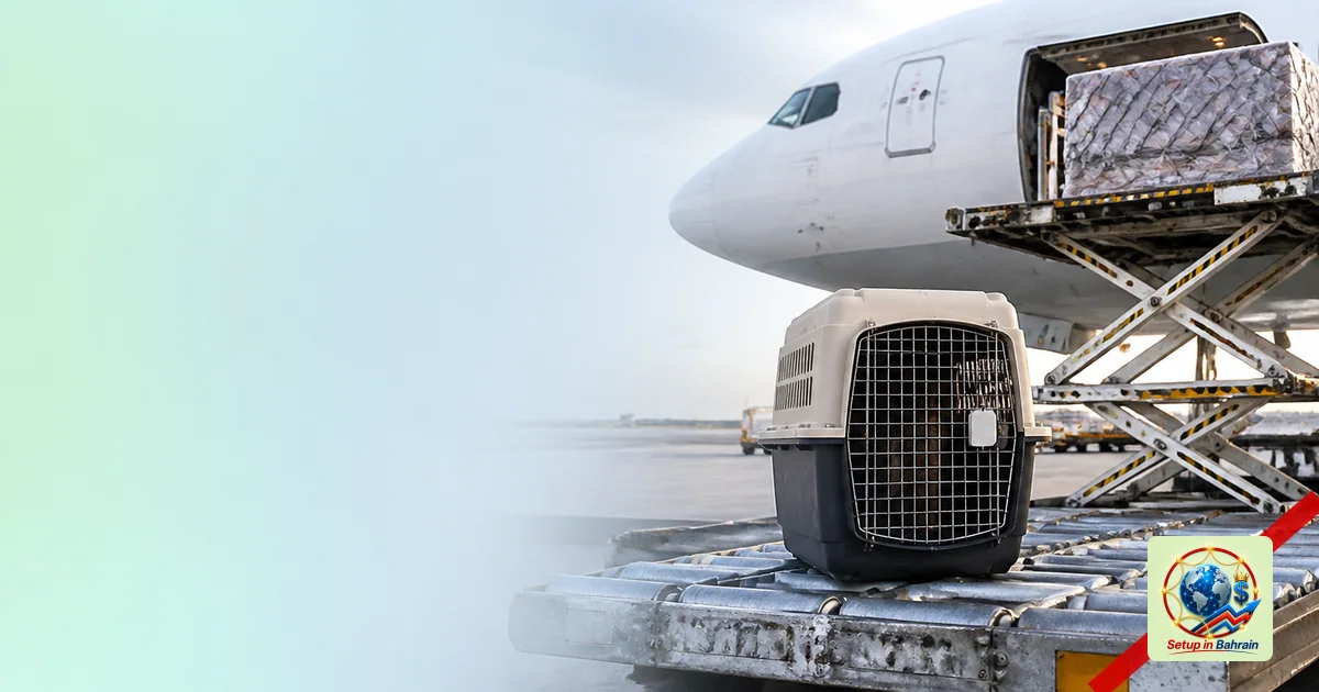 Editorial visual representing unbranded commercial aircraft and airport operations illustrating Bark Air president discusses 