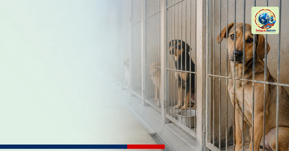 Editorial visual representing one concrete editorial subject illustrating Humane Society Pauses Cat and Dog Intakes in Capaci