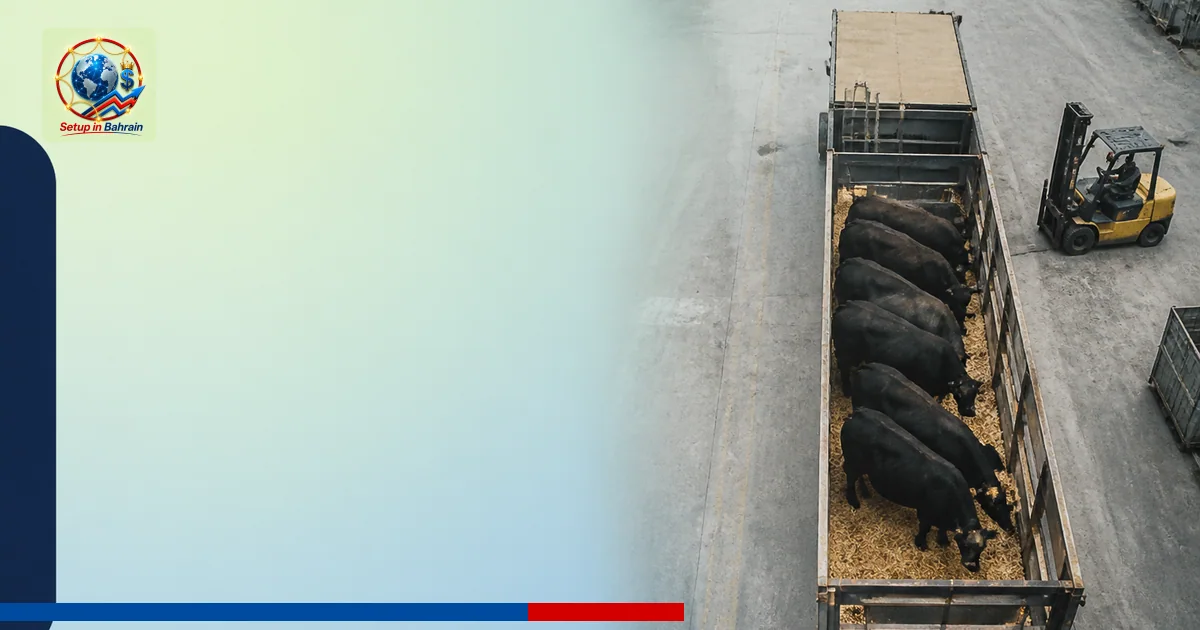 Editorial visual representing one concrete editorial subject illustrating Strong demand drives New Zealand Angus bull sales
