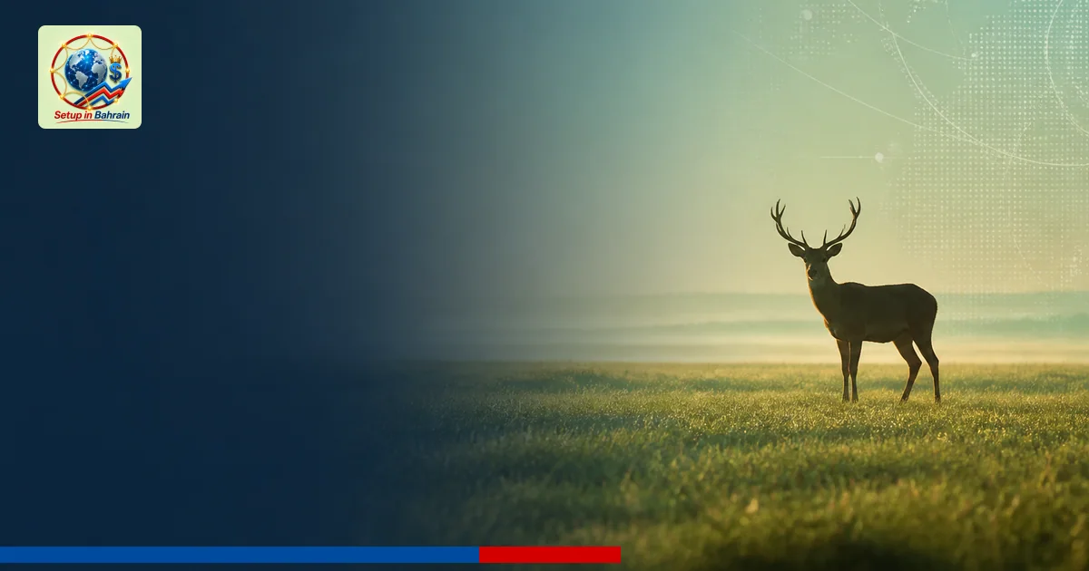 A solitary deer stands in a calm open field with a pale green-to-blue gradient background. A left-aligned navy information pa